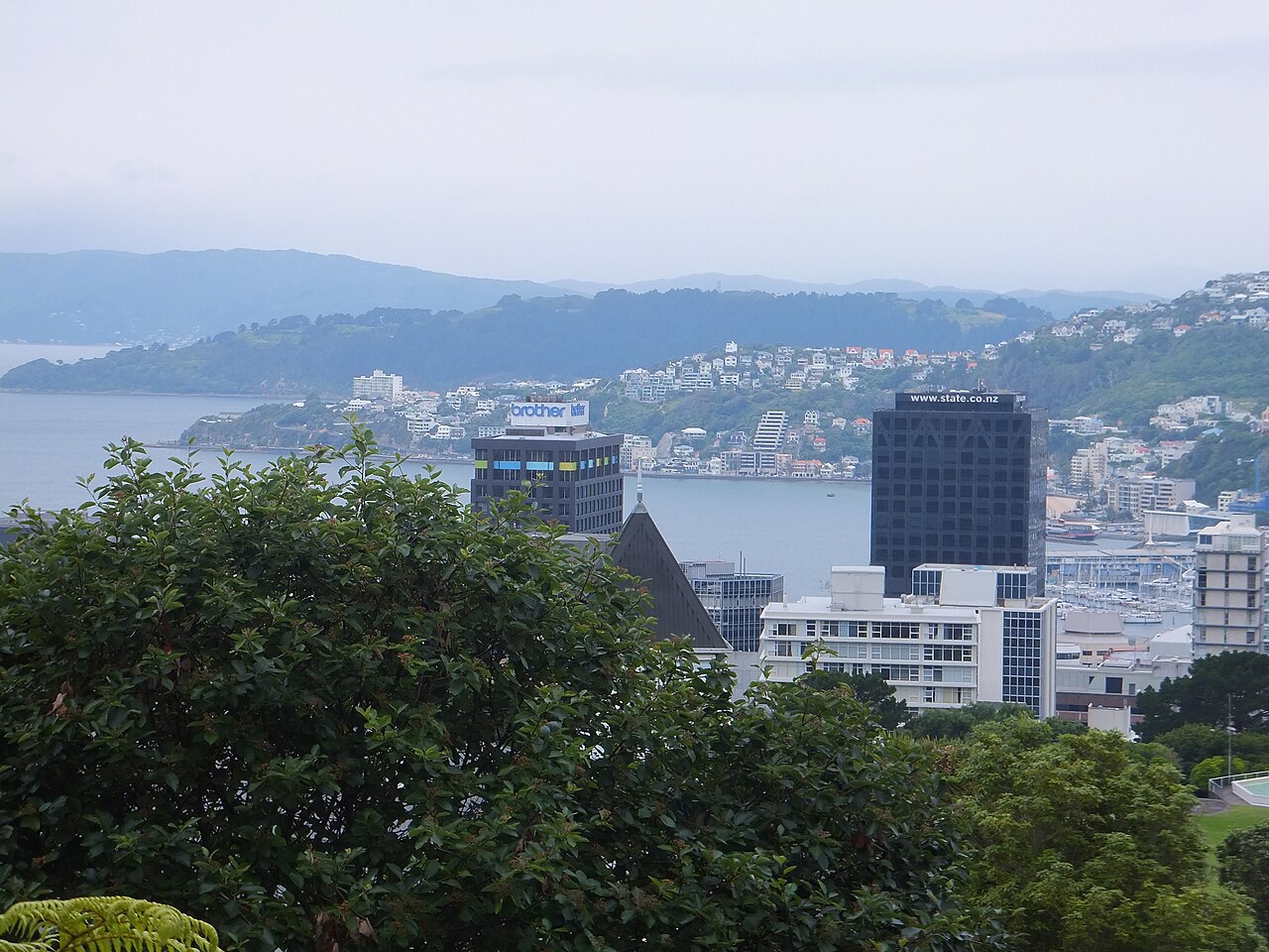 View of Wellington, New Zealand